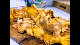 Four Things to Do with Costco Chanterelles  How to Prep Cook and Enjoy [upl. by Anitak]