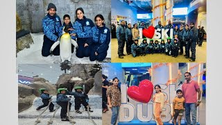 Snow park ☃️🌁Penguins🐧Ice skating⛷️ SKI Dubai Place to visit in Dubai for One day family tour [upl. by Dettmer]