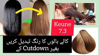 How To Change Black Hair Colour To Brown without Bleach [upl. by Tirza]