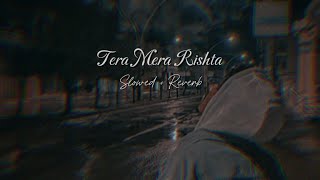 Tera Mera Rishta Slowed amp Reverb  Mustafa Zahid  HT Lofi [upl. by Alemaj]