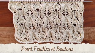 POINT AU TRICOT  Point Feuilles et Boutons [upl. by Cassondra356]