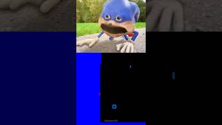 Poor Shin Sonic 😭😭😭😭😭 Horror Skunx Animation  Blue Bouncing Square [upl. by Kendre523]