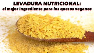 LEVADURA NUTRICIONAL el mejor ingrediente para los quesos veganos por Nely Helena Acosta Carrillo [upl. by Dollar]