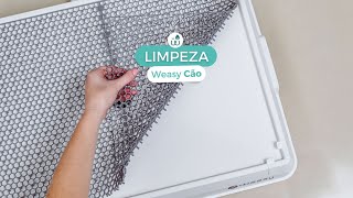 Limpeza do Weasy Cão [upl. by Hgielar111]