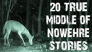 20 True Disturbing Middle Of Nowhere amp Deep Woods Scary Stories  Horror Stories For Halloween [upl. by Allevon394]