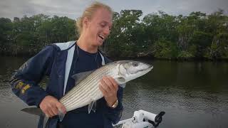 Giant Miami Biscayne Bay Winter Bonefish [upl. by Tybie]