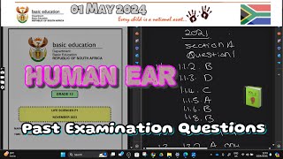 Human Ear  Past Questions  Full Class  01052024  Response to the environment by Human grade12 [upl. by Modern]