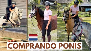 VLOGEn busca 👀🔎de ponis🦄🌈en Holanda 🇳🇱monto mil ponis ⚔️ aventura con Sports Ponis los elegidos😱 [upl. by Teddie33]