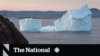 Where are the icebergs Newfoundland to see fewer this season [upl. by Saidel]