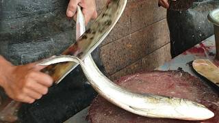 Amazing Skills Cut Fish Well and Perfectly – Watch These Experts in Action [upl. by Raveaux357]