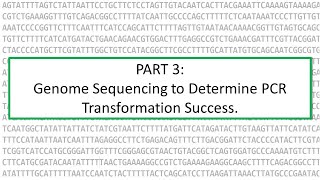 PART3 Identifying a gene knockout within genome sequencing data [upl. by Latoye711]