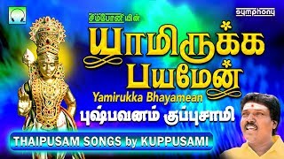 யாமிருக்க பயமேன்  தைப்பூசம் முருகன் பாடல்  புஷ்பவனம் குப்புசாமி  Murugan devotional Songs [upl. by Ashelman98]