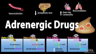 Adrenergic Drugs  Pharmacology Animation [upl. by Htebsle252]