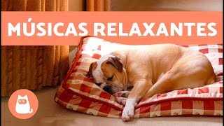 2 horas de MÚSICAS RELAXANTES PARA CACHORROS [upl. by Akerboom219]