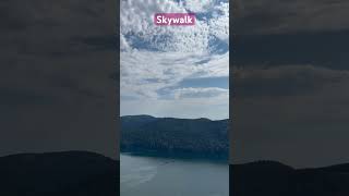 Breathtaking views from the top of the Malahat Skywalk Absolutely mesmerizing 😍 skywalk canada [upl. by Danny557]