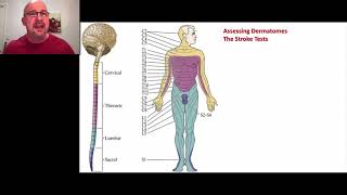 Paramedic Neurological Assessment 6  Dermatomes [upl. by Enela]