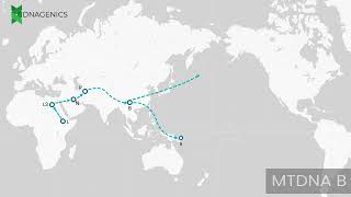 MTDNA B  DNAGENICS [upl. by Angie]