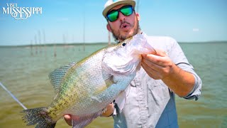 Fishing for World Record CRAPPIE on Sardis Lake CATCH CLEAN COOK  FieldTrips Mississippi [upl. by Rimola]