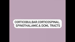 CORTICOBULBAR CORTICOSPINAL SPINOTHALAMIC AND DCML [upl. by Madian]