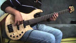 Elrick Gold Series Bass FUNK GROOVE [upl. by Sherrod]