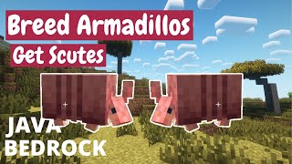 How to Breed Armadillos and Get Scutes in Minecraft  Java Bedrock [upl. by Atinad220]