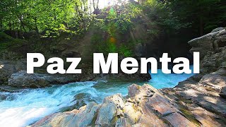 Musica para Relaxar e Tranquilizar  Reduz Ansiedade  Sons Relaxantes da Natureza [upl. by Retsof997]