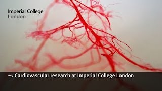 Cardiovascular research at Imperial College London [upl. by Erdnaed]