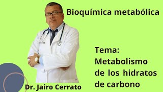 Respiración celular ruta de pentosas fosfato y metabolismo del glucógeno [upl. by Rosol319]