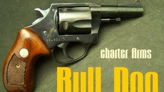 Charter Arms Bull Dog 44 Special [upl. by Notgnimer81]