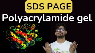 SDS PAGE gel electrophoresis  sds page principle explained  poly acrylamide gel electrophoresis [upl. by Ayekan741]