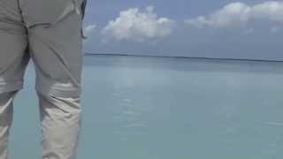 Tarpon Fly Fishing 100 pounder in a foot of water Islamorada Florida Keys [upl. by Esialb]