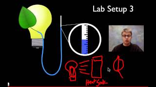 AP Biology Lab 9 Transpiration [upl. by Irac]