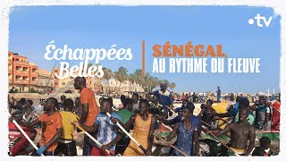 Sénégal au rythme du fleuve  Échappées belles [upl. by Farrica]