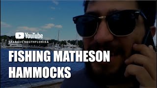 Fishing Matheson Hammocks Park [upl. by Alrahs]