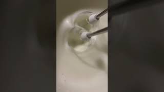 Satisfying Sounds Beating Egg White beater beaten eggshorts eggwhites asmr trending viral [upl. by Ylurt]