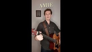 Amie Pure Prairie League cover [upl. by Erej871]