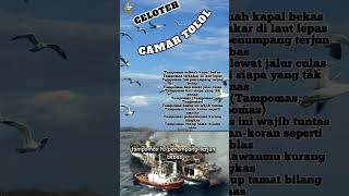 IWAN FALS CELOTEH CAMAR TOLOL iwanfals shortsviral music musik musikjadul shorts shortmusic [upl. by Jeddy]