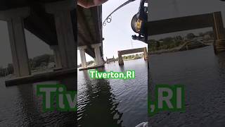 Scup fishing in Tiverton RI [upl. by Greg820]