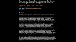 Gray matter volume of the feline cerebral cortex and structural plasticity following deafness [upl. by O'Connor]