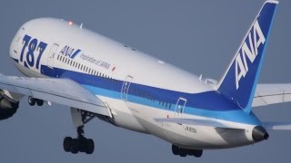 伊丹空港 飛行機の離着陸シーン 2016年1月4日 [upl. by Hoxsie]