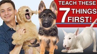 How to Teach The First 7 Things To Your Dog Sit Leave it Come Leash walking Name [upl. by Peedsaj]