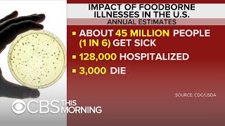 Whats behind the rise in foodborne illnesses [upl. by Llenyaj]