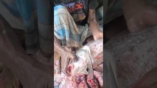 Cutting Fish Market amp Tuna Fish Cutting Skills [upl. by Anaele]