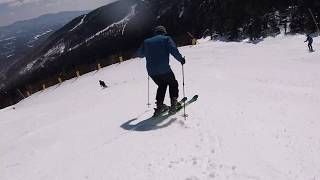 2020 Ski Test  Black Crows Navis Skis [upl. by Aneela852]