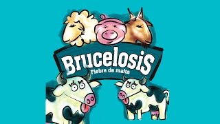 How to treat Brucella Abortus  English subtitles  TvAgro por Juan Gonzalo Angel [upl. by Ntsyrk]