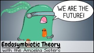 Endosymbiotic Theory [upl. by Wiburg]