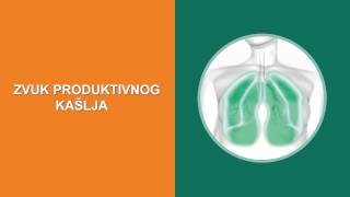 Zvuk produktivnog kašlja  Sound of productive cough [upl. by Llehsyar]