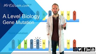 Gene mutation  A Level Biology [upl. by Gaven]