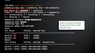 HP Networking Configuration and Demo  LACP [upl. by Birdt]