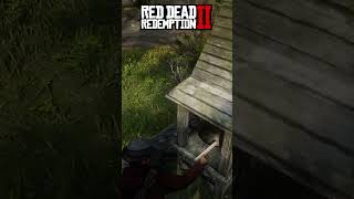 rdr2 rdr260fps rdrgameplay gaming arthurmorgan reddeadredemption gunslinger ps5 [upl. by Ahsil]